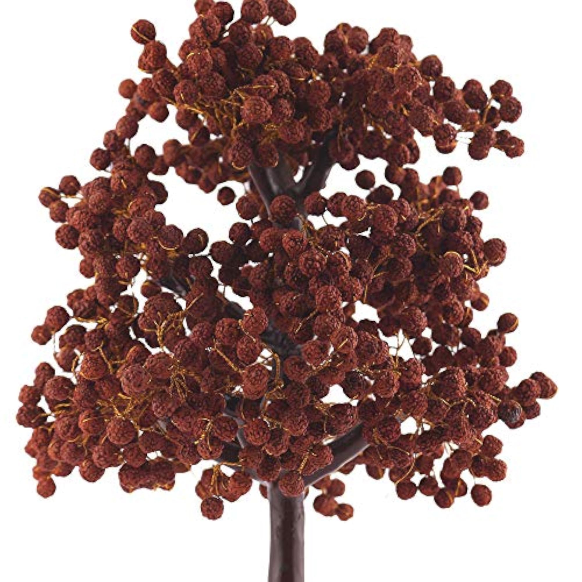 Rudraksha Tree with 1000 Beads