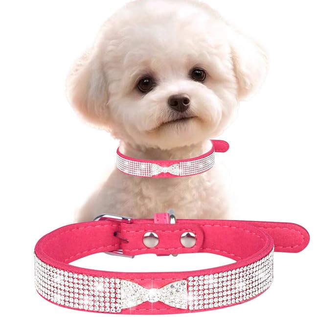 Collier à paillettes scintillantes pour chiot pour déclarer votre amour
