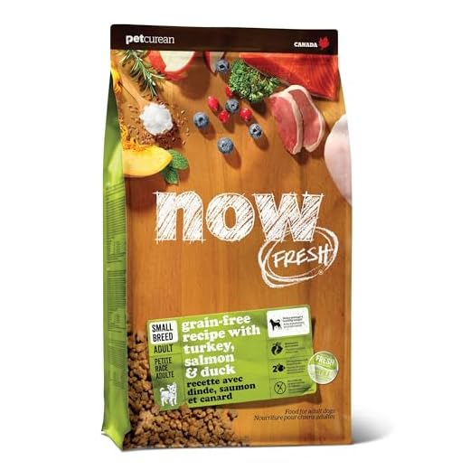 Now Fresh Grain-Free Small Breed Dry Dog Food with Turkey, Salmon & Duck, Healthy Kibble Made with Real Poultry & Fish, Chicken-Free Recipe, with Pumpkin & Probiotics for Good Digestion, 6 lb Bag