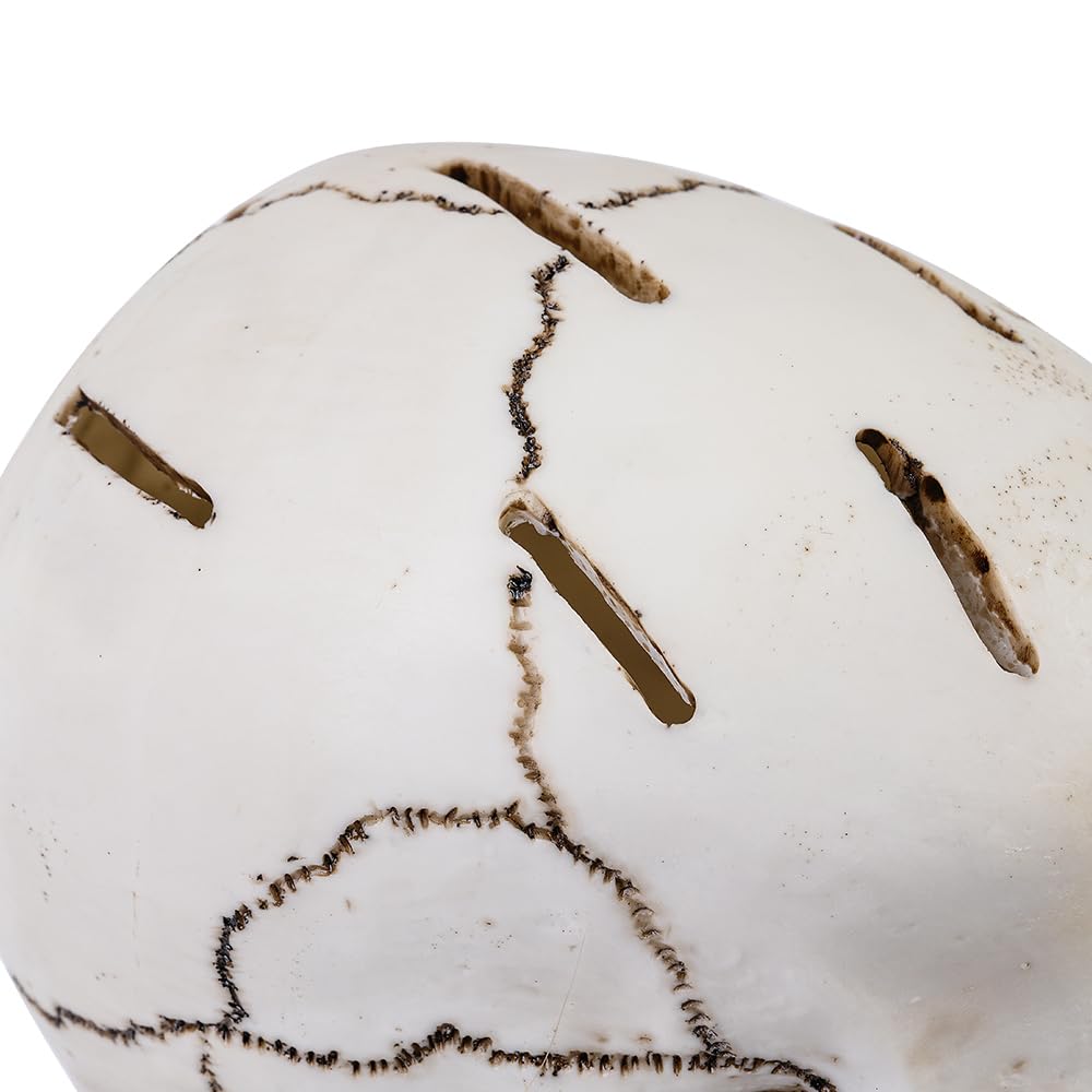 Portacuchillos gótico con forma de calavera, adorno de resina para cocina, organizador de cuchillos para decoraciones únicas en el hogar