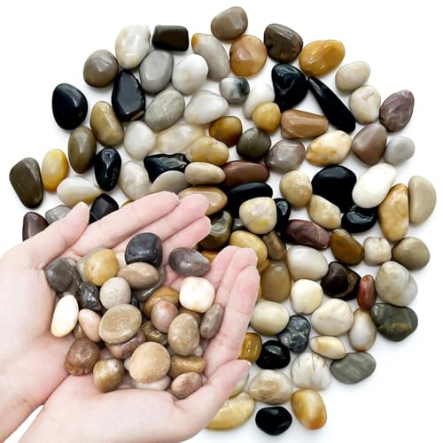 Pebbles Polished Gravel Natural River Rocks Ornamental Pebbles Garden Landscaping Stones Small Decorative Rocks for Fountain Aquarium Plants Vases Landscaping (Mixed Color, 1 LB)