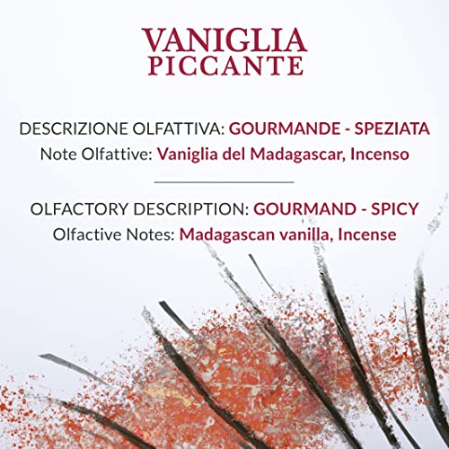 Difusor aromático eléctrico Spicy Vanilla 100ml miniatura 3