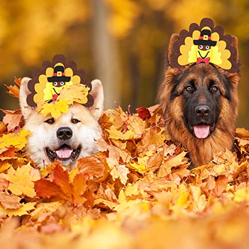 Diadema de Pavo para Perro RYPET Tamaño S miniatura 6