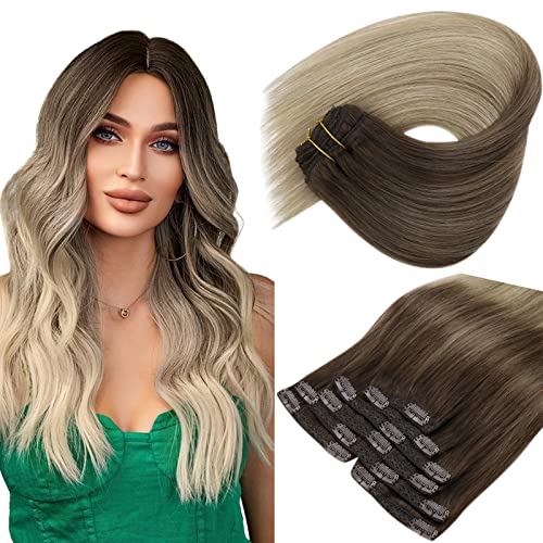 Sunny Hair Clip in Hair Extensions Straight Human Hair Clip