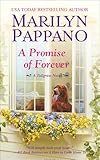A Promise of Forever (A Tallgrass Novel Book 4)