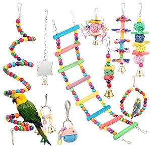 Vogelkooi-accessoires, 10 stuks kleurrijke vogelbaars, platform, houten ladders, hangmat, papegaai speelgoed met klokken…