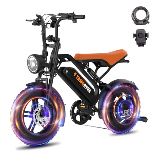 Tamobyke T16 Electric Bike