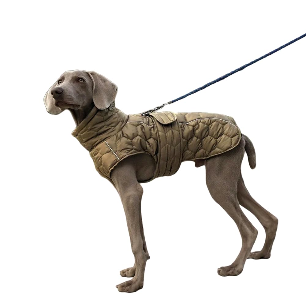 Vestiti per Cani Abiti per Cani Invernali Antivento Morbido Trapuntato per Cane Caldo Giacca da Neve Capello di Cane Grande-Verde-s