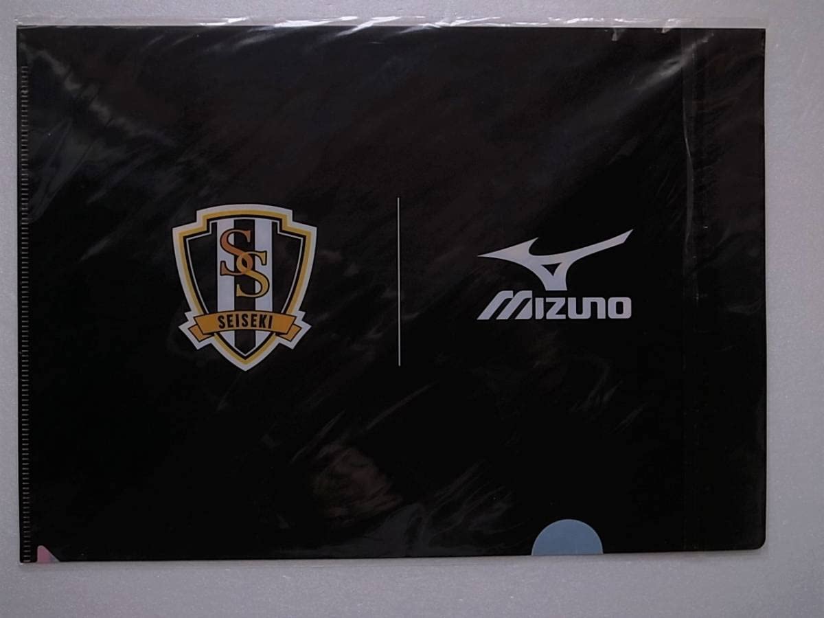 Amazon.co.jp: DAYS クリアファイル 集合絵柄 聖蹟高校サッカー