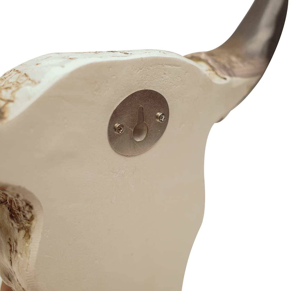 Amazon.co.jp: Treasure Gurus 南西部 スティール/雄牛/牛の頭蓋骨と角