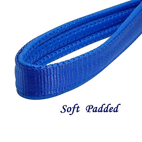 Berry Pet Premium 6 Foot Chain Heavy Duty Dog Leash - Soft Padded Foam Handle Lead - Perfect Basic Leashes For Large & Medium Size Pets Walking,Traffic Training And Traveling (3.0Mm 6 Foot, Blue) #TOP1
