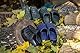 PLAME Unisex Garten Clogs Gartenschuhe Damen Gartenclogs Herren Sehr Leicht Clogs 36-46 EU (Grün, EU Schuhgrößensystem, Erwachsene, Numerisch, M, 40)