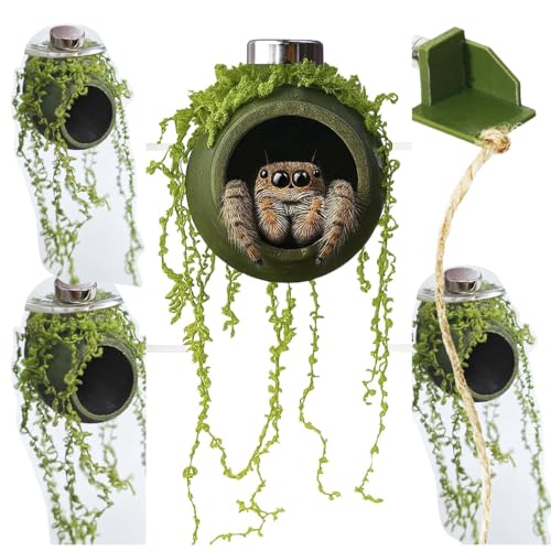 YOMENO 4Pcs Jumping Spider Enclosure Accessories Cocoon-Shaped Jumping Spider Hideaway with Artificial Moss and 1 Pcs Resting Platform Magnetic Small Animal Shelter Toy (Army Green)