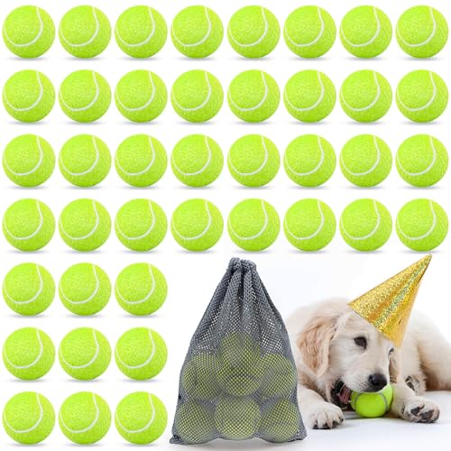 40 Pack Tennis Balls for Dogs Bulk 2.5 Inch Training Tennis Balls Practice Balls Easy Catching Pet Tennis Balls with Carry Bags, Interactive Fetch Toys for Dog Puppy Small Medium Large Dogs