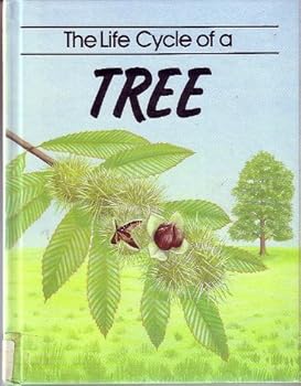 Hardcover The Life Cycle of a Tree: John Williams; Illustrated by Jackie Harland Book