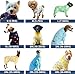 Spark Paws Hundepyjama, ultraweich und 4-Wege-Stretch, Erholungsanzug nach Operation, Schlafanzug Onesie für Kleine, Mittlere und Große Hunde, When Pigs Fly, 3XL