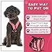 Gooby Comfort X Head-in Harness – Small Dog Harness for Toy Breeds (5–9 lbs), Pink, Small