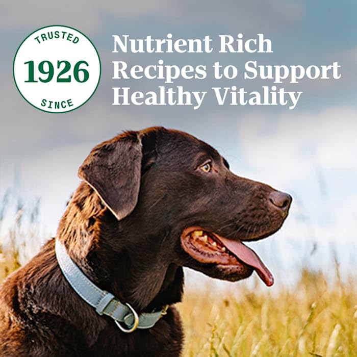 Image of Nutro Natural Choice Adult Dry Dog Food, Lamb & Brown Rice Recipe, 30 lb