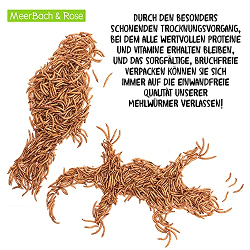 Mehlwürmer getrocknet, 1kg (entspricht 6,5 Litern!) Futtermittel im Beutel, der proteinreiche Snack für Wildvögel… – Bild 5