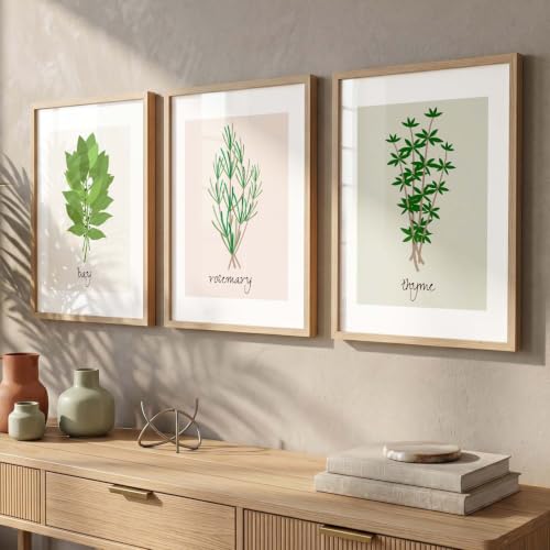 Image of HOTHOUSE Botanical Wall Art Painting | Premium Art Framed Wall Paintings For Home Decor | Poster With Frame Wall Decoration Painting Frames For Home Office Living Room | Set of 3 (10X13 inch)