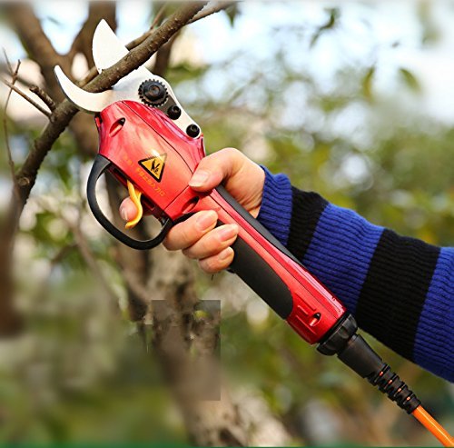 Cjc Electric Chargeable Fruit Tree Branch Cutter Pruning Shears & Snips #TOP1