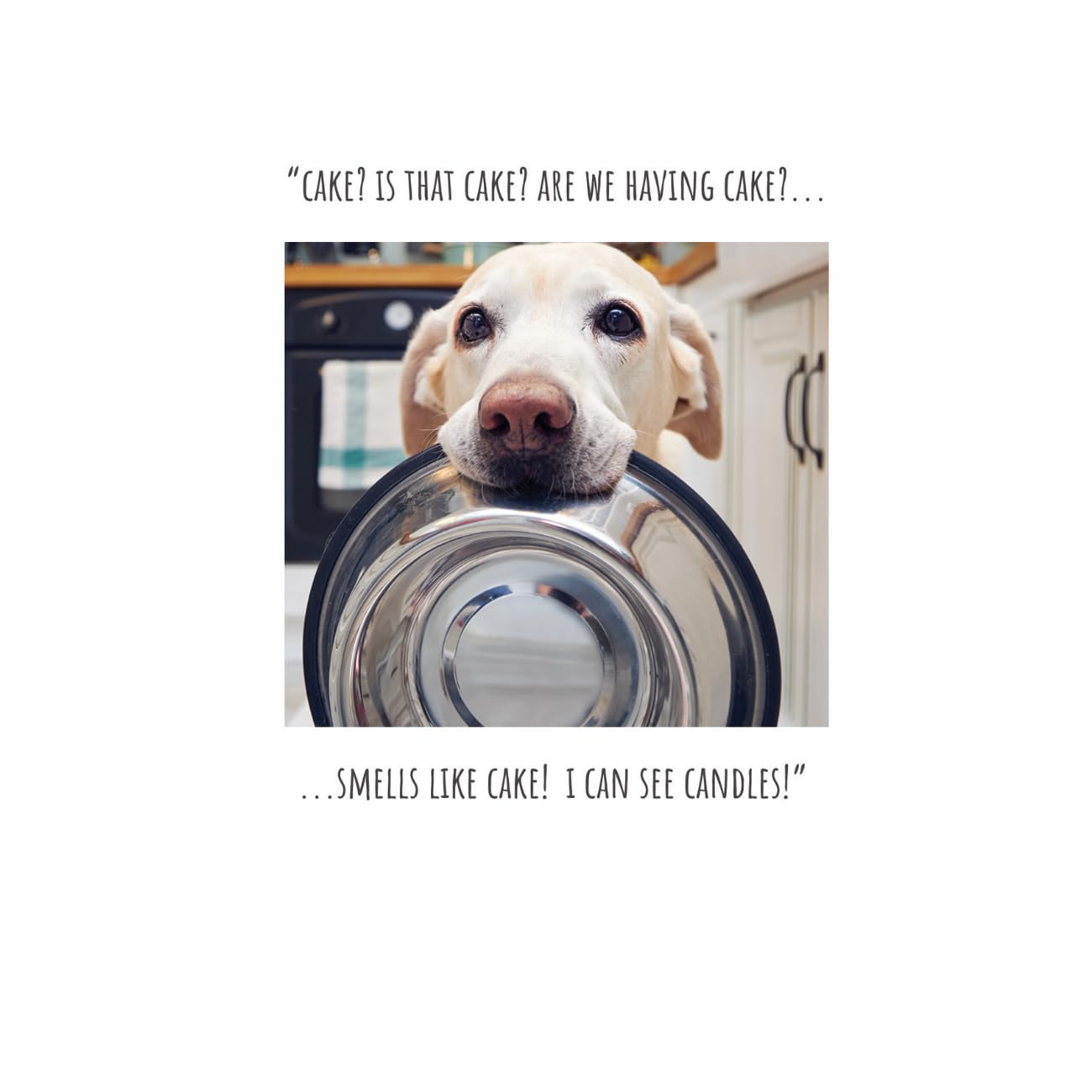 Click, Like & Share Birthday Card for Her, Cake is That Cake? Are we Having Cake? Female Birthday Card, Funny Birthday Card for her