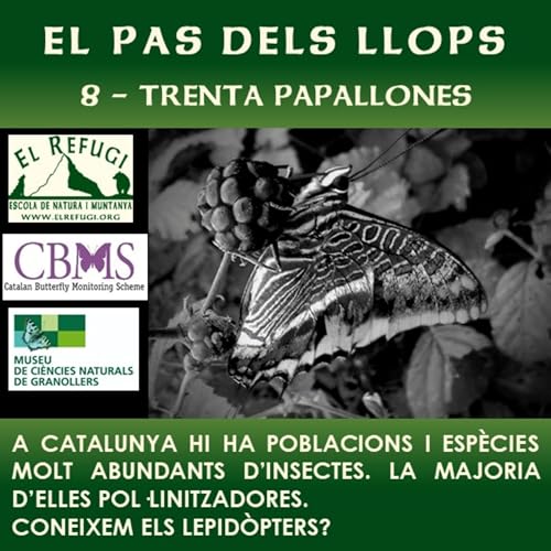 Couverture de 8 Trenta Papallones