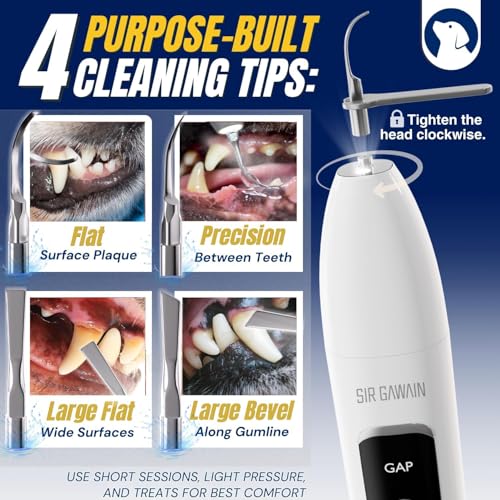 Image of SIRGAWAIN Pet Ultrasonic Dental Cleaner - Complete Cleaning Kit for Dogs & Cats (BJHUY2)