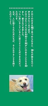【中古】 Ｄｏｇ　ｒｏａｄ セラピードッグ・チロリの物語 ｖ．２/秋田書店/川上慎 名犬チロリ 日本初のセラピードッグになった捨て犬の物語 (ノン