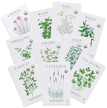 Top 5 Indoor Gardening Seeds You Didn't Know You Needed 1 seeds for indoor gardening