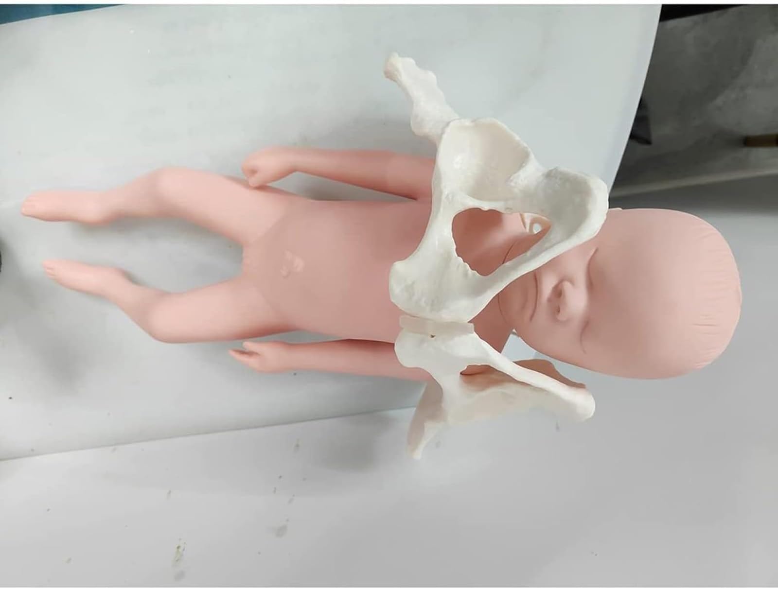 Model szkoleniowy położnej, model silikonowej lalki miednicy żeńskiej z miednicą i łonem miednicy, miednica Poród Ginekologia Nauczanie modelu medycznego(Color:Male)