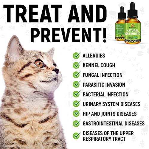 Goldenpaw Herbal Pet Supplement For Cat #TOP6