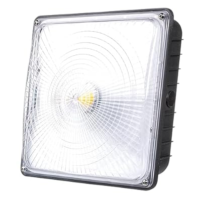 PARMIDA LED Canopy Light, 45W, 0-10V Dimmable,110-277VAC, IP65 Waterproof, ETL-Listed, 5000K (Day Light), 9.6" x 9.6", Gas Station, Street, Area & Outdoor Lighting, Bronze