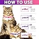 Zecken-Flohband Katze, Zeckenhalsband für Katze Flohhalsband für Katzen 4Pcs, 24 Monate lang wirksamer Schutz, verstellbar, wasserdicht(Rosa&Lila)