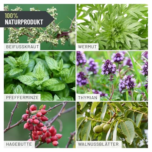 Foto von ReaVET Wurm-Kraut Liquid 100ml – für Hunde & Katzen, mit echtem Wurmkraut (Artemisia Absinthium) in rezepturbasierter Pflanzenformel, geeignet für alle Haustiere