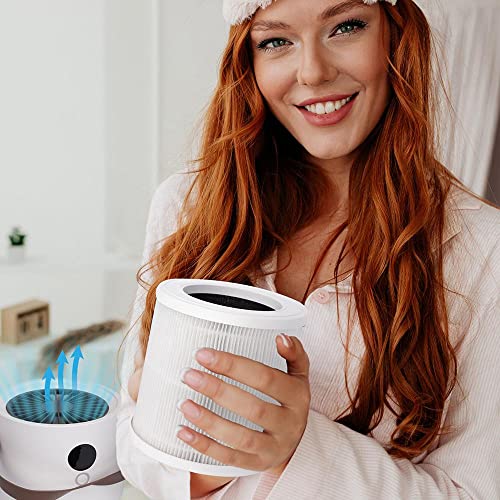 Proton Pure Portable Proton Pure Filter With True Hepa Air Filtration Technology, Proton Pure Air Purifiers For Home, #TOP4