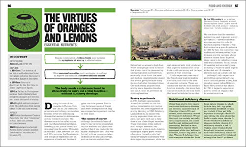 The Biology Book: Big Ideas Simply Explained (DK Big Ideas) - Image 3