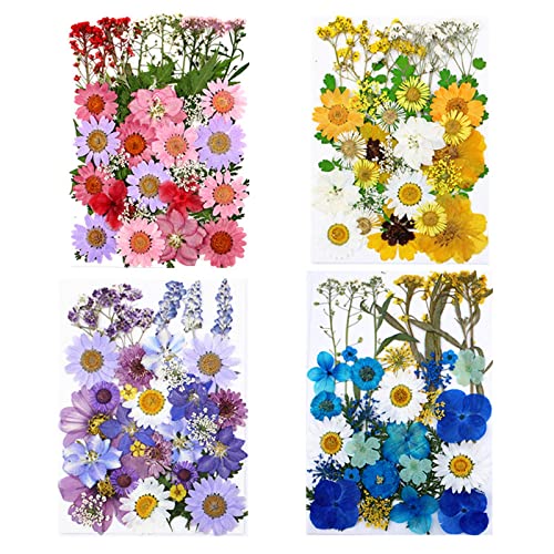 30 piezas flores secas prensadas para manualidades miniatura 3