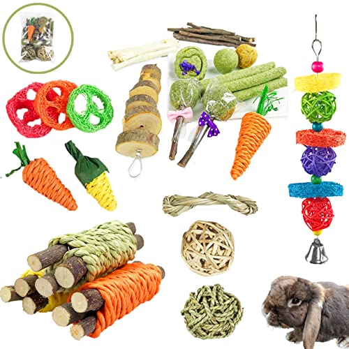pets guinea pig toys