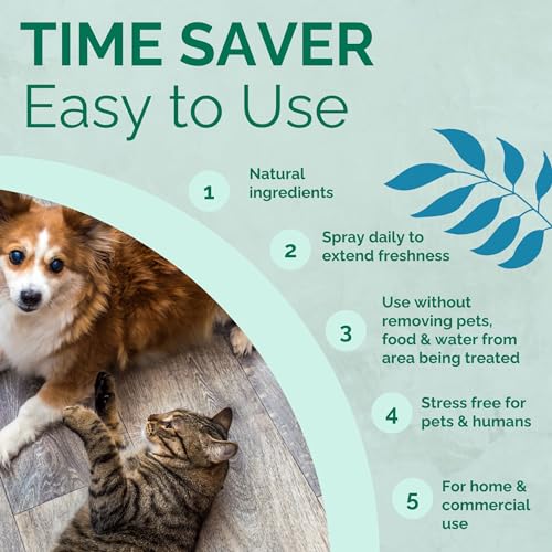 Image of No Scent Crate Kennel & Floor Cleaner for Dog Run, Cat Carrier, Hard Surface Pet Odor & Stain Management (2 Fl Oz / 59 mL)