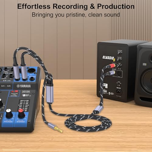 DCNETWORK 3,5mm auf RCA Kabel, Dual 6,35mm TS auf Cinch Audio Adapter, HiFi Y-Splitter AUX Kabel mit vergoldeten Kontakten für Kopfhörer, Handy, Lautsprecher, MP3, Tablet, Fernseher 4.5M