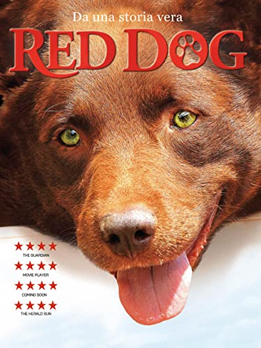  Red Dog