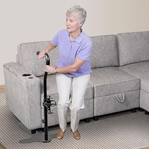 Stand Assist Aid for Elderly, Chair...