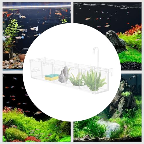 5 Grides Fish Tank Filter Transparent Acrylic Filter Box 5 in 1 Aquarium Overflow Box Canister Filters for Aquarium for Restaurant Home Hotel (5 Grides) - Thumbnail 4