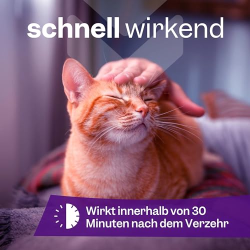 Tropfen Katze Beruhigung, Beruhigungsmittel für katzen, Beruhigung Katze, Baldrian Katze - Anti Stress für Katzen, 100 % Natürlich, 30 ml