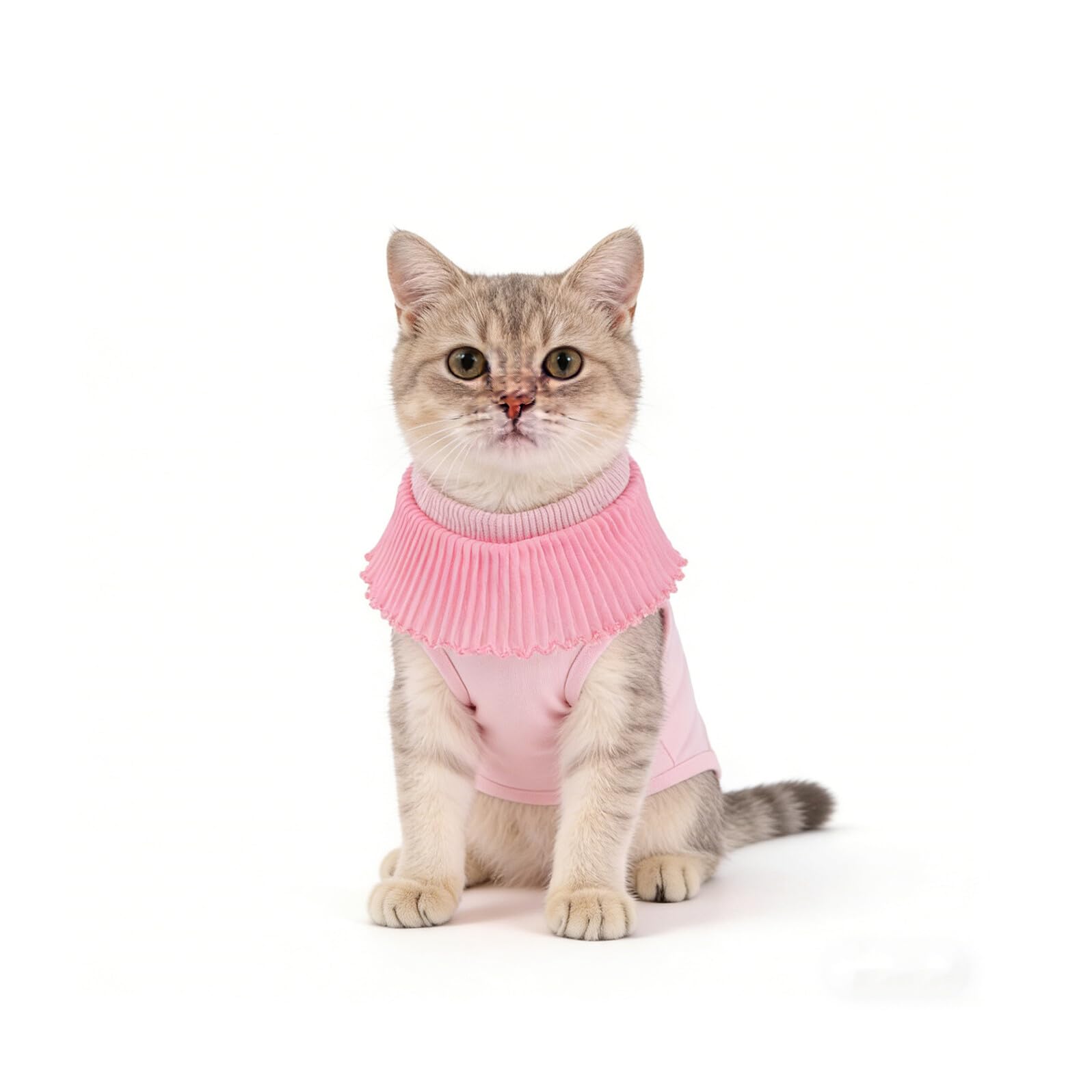 Abaodam Op Anzug für Katzen Atmungsaktiver Ganzkörper Genesungsanzug Elastischer Op Body für Kätzchen nach Kastration Rosa (s) Schutz vor Wundlecken und Hautirritationen