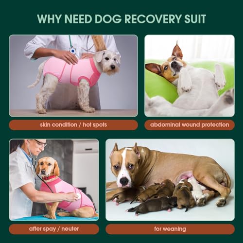 Image of Kuoser Recovery Suit for Dogs, Soft Dog Spay Suit for Female Surgery Recovery, Breathable Dog Neuter Recovery Suit Male, Anti Licking Dog Onesie for Abdominal Wounds Cone Alternatives, Pink XL