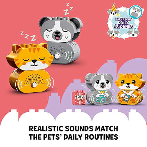 Niñas, Toy Imagen adicional