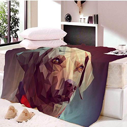 RKZM Manta de Sherpa para Perro en el sofá Manta de Tiro de Animales para niños, colchas Negras y Grises, Ropa de Cama mullida, Manta de Oficina para la Siesta del Dormitorio 150 * 200cm Cover