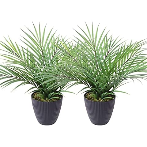ROSOFMI Artificial Paradise Palm Tree Plant 12 Inch Fake Palm Tree with 9 Leaves Faux Palm in Pot for Indoor Outdoor House Home Office Modern Decoration Perfect Housewarming Gift Cover
